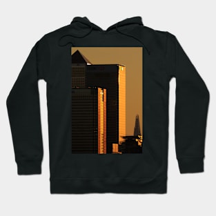 Skyscrapers sunset Hoodie